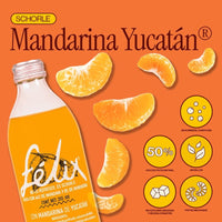 Detalle de la botella de Schorle Mandarina Yucatán